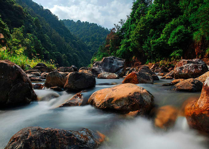 Waterfall in Forest Nature