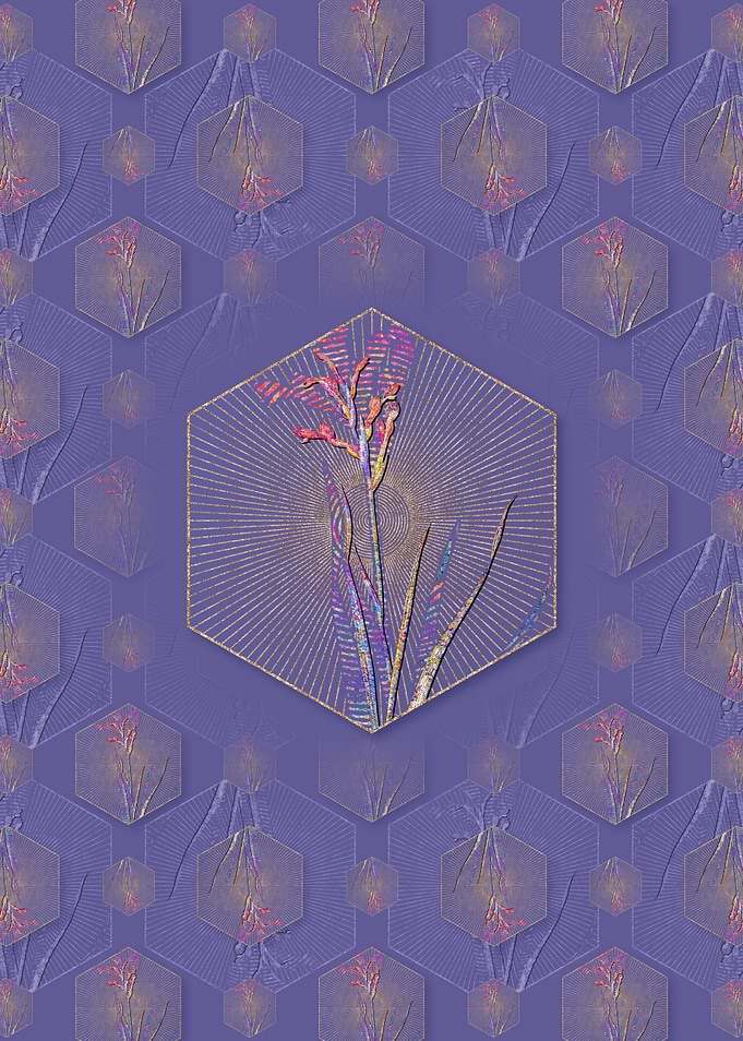 Gladiolus Cunonius Pattern