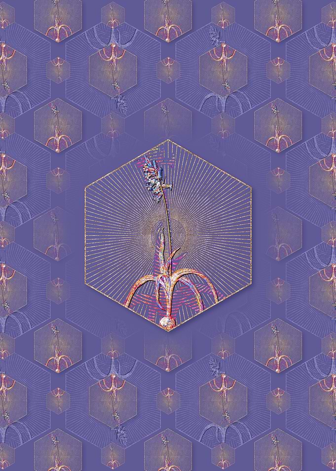 Common Bluebell Pattern