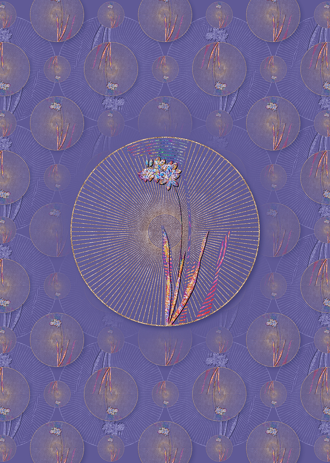 Ixia Filiformis Pattern