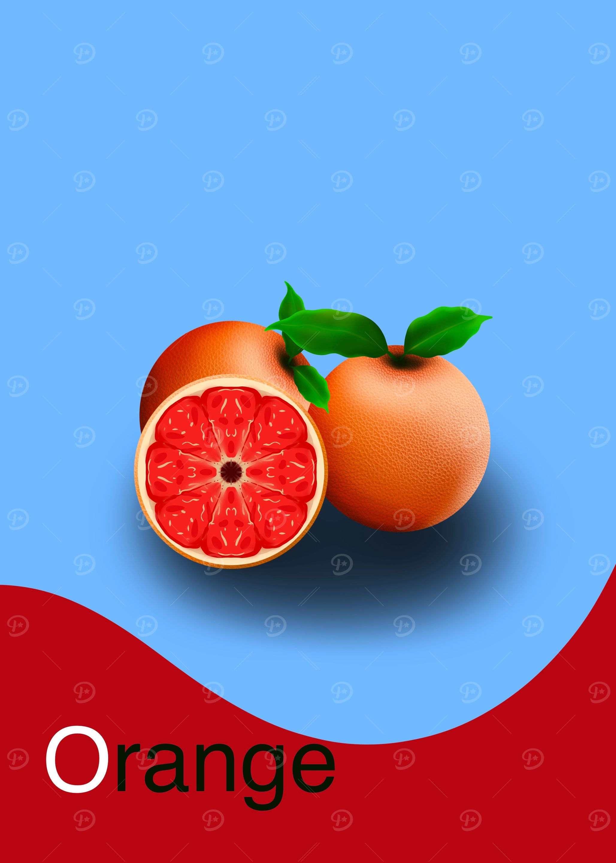 Orange Fruits Pintings