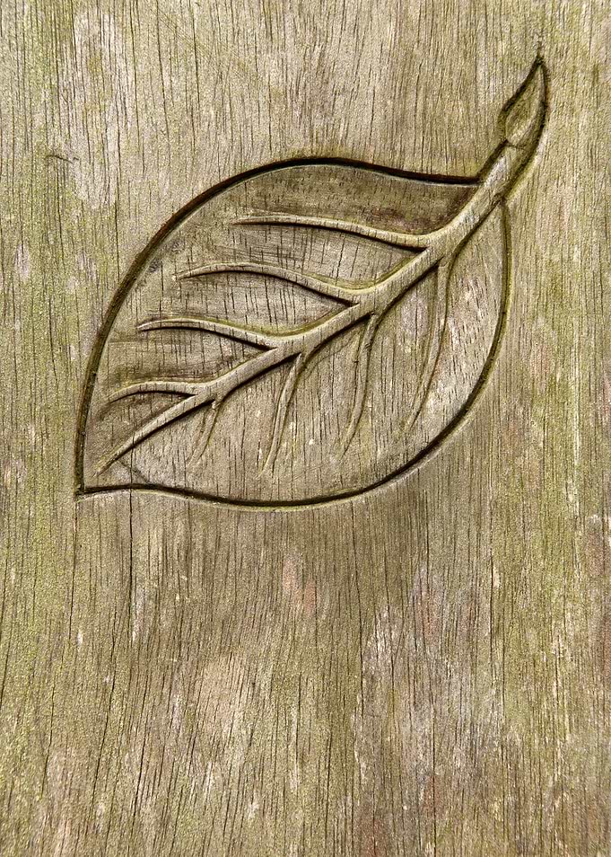 Engraved leaf