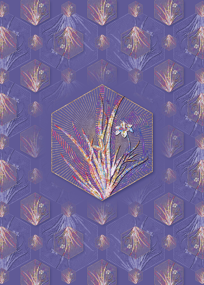Lily Pattern