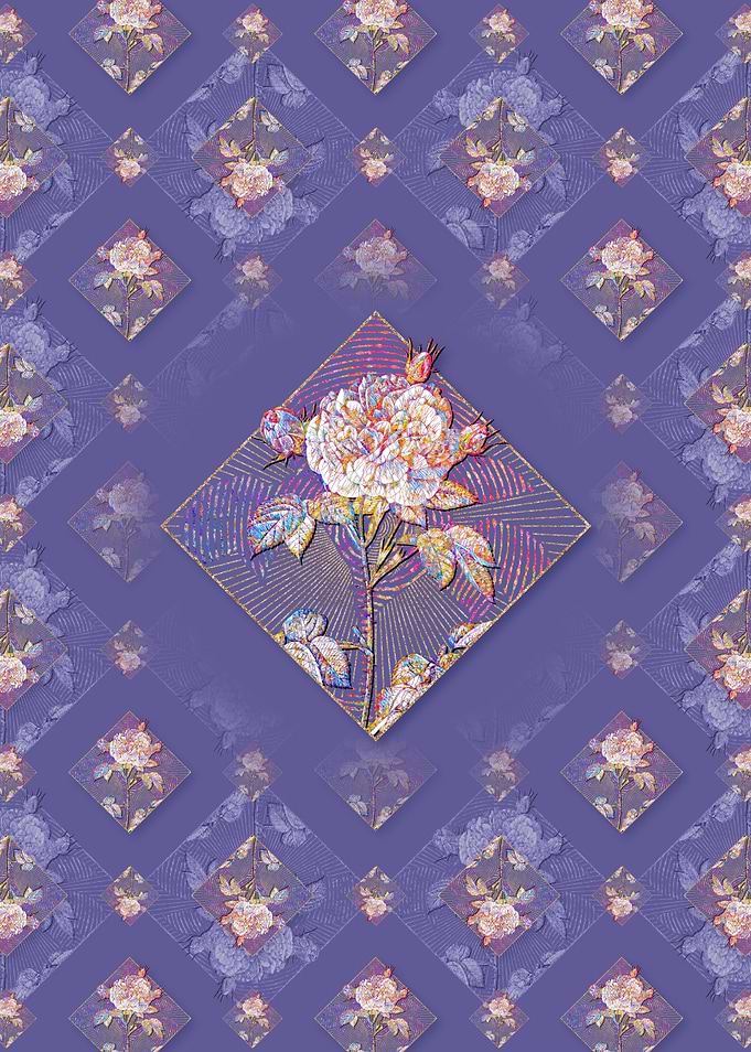 Rosa Alba Pattern