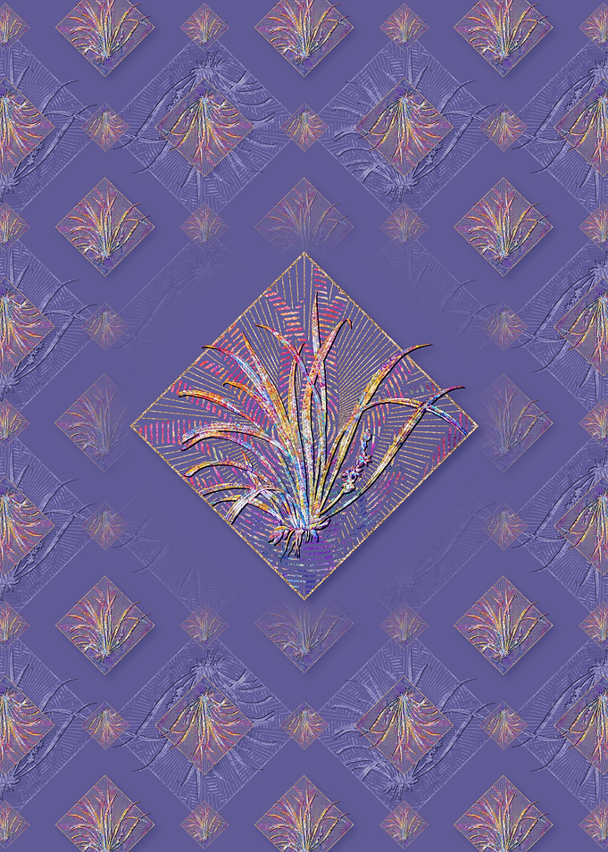 Sansevieria Carnea Pattern