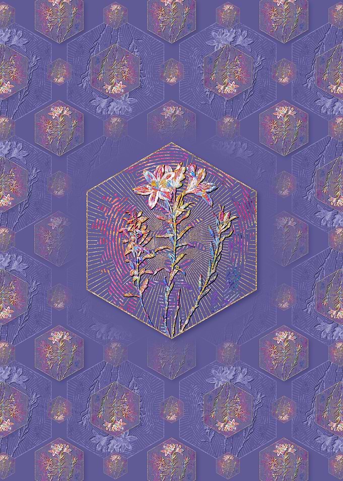 Lily of the Incas Pattern