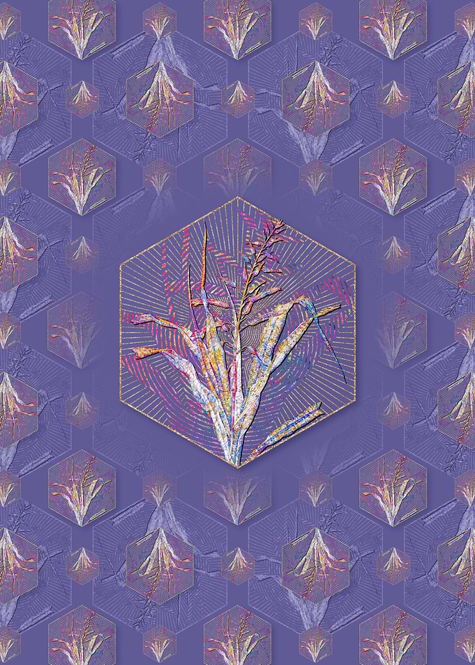 Pitcairnia Bromeliaefolia