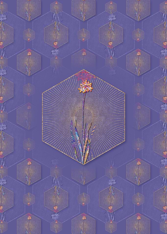 Orange Ixia Pattern