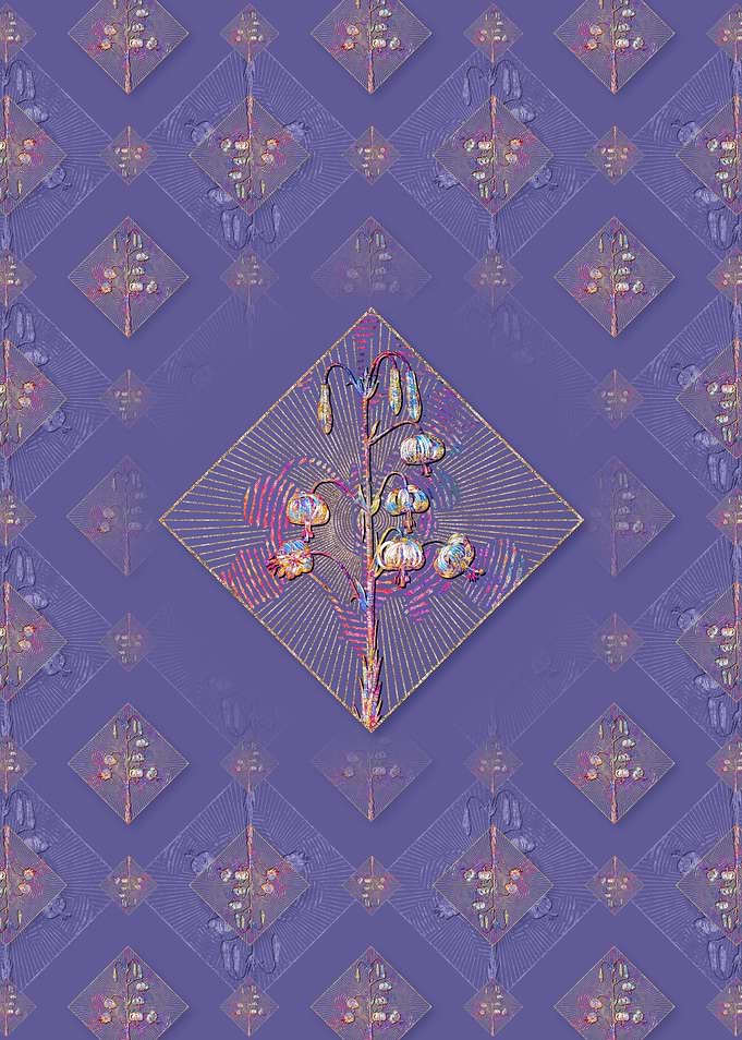 Lilium Pyrenaicum Pattern