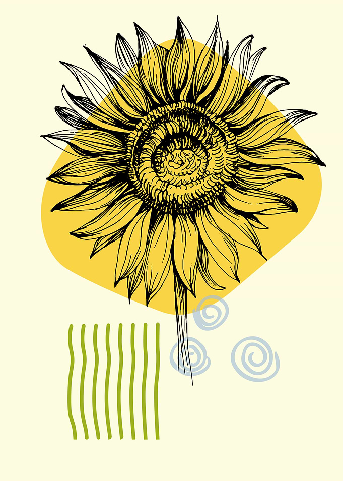 Minimalist sunflower art