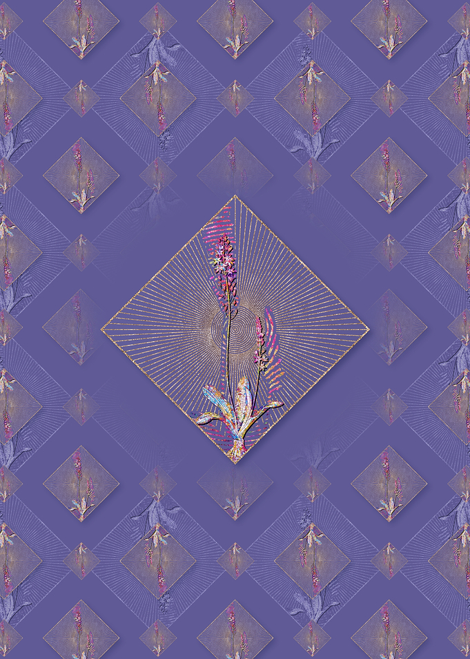 Scilla Obtusifolia Pattern