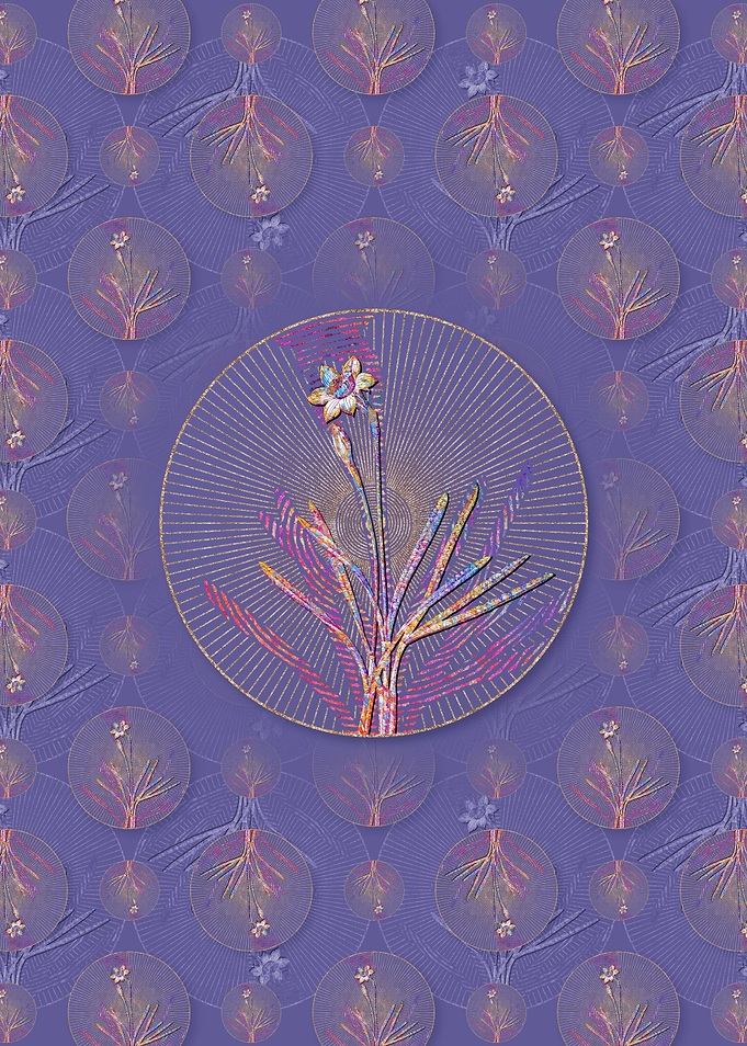 Narcissus Gouani Pattern