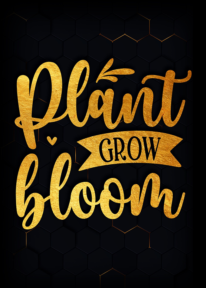 Plant grow bloom
