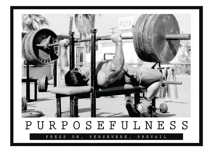 Purposefulness