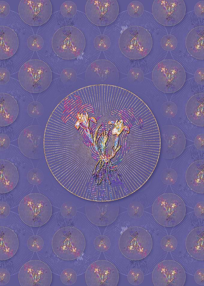 Sand Iris Pattern