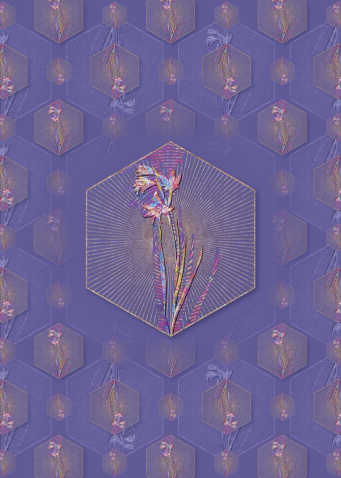 Painted Lady Pattern
