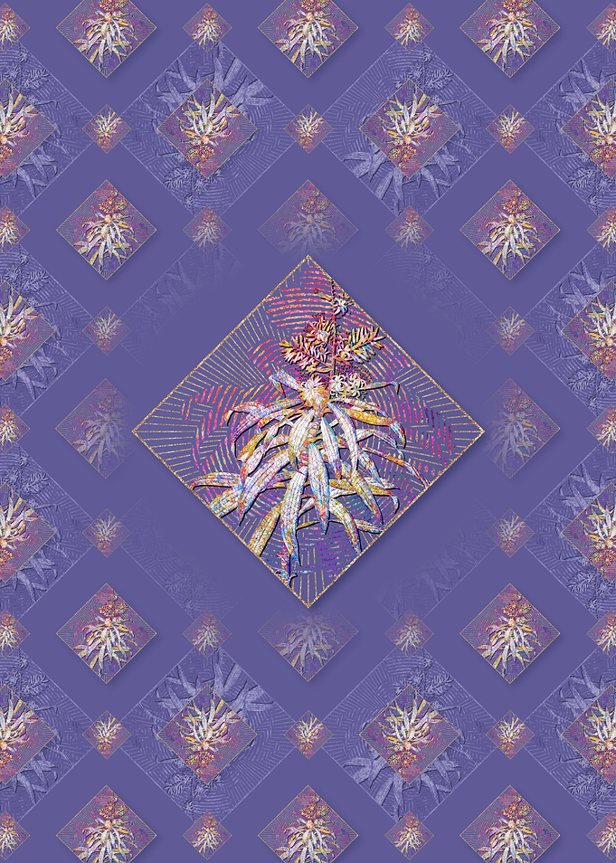 Pleomele Pattern