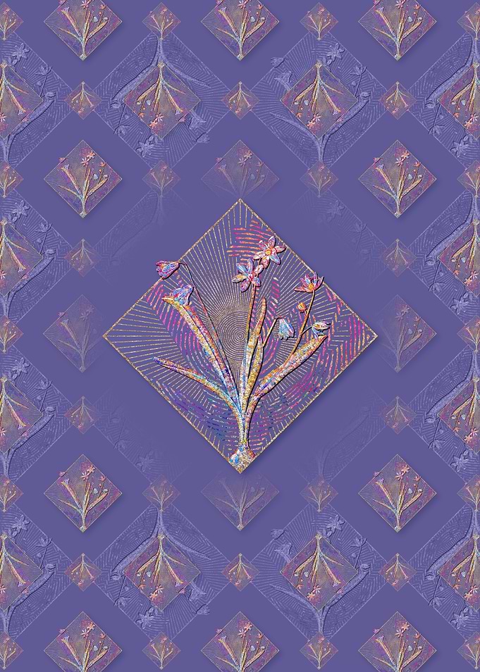 Scilla Amoena Pattern