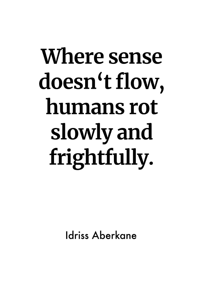 Idriss Aberkane