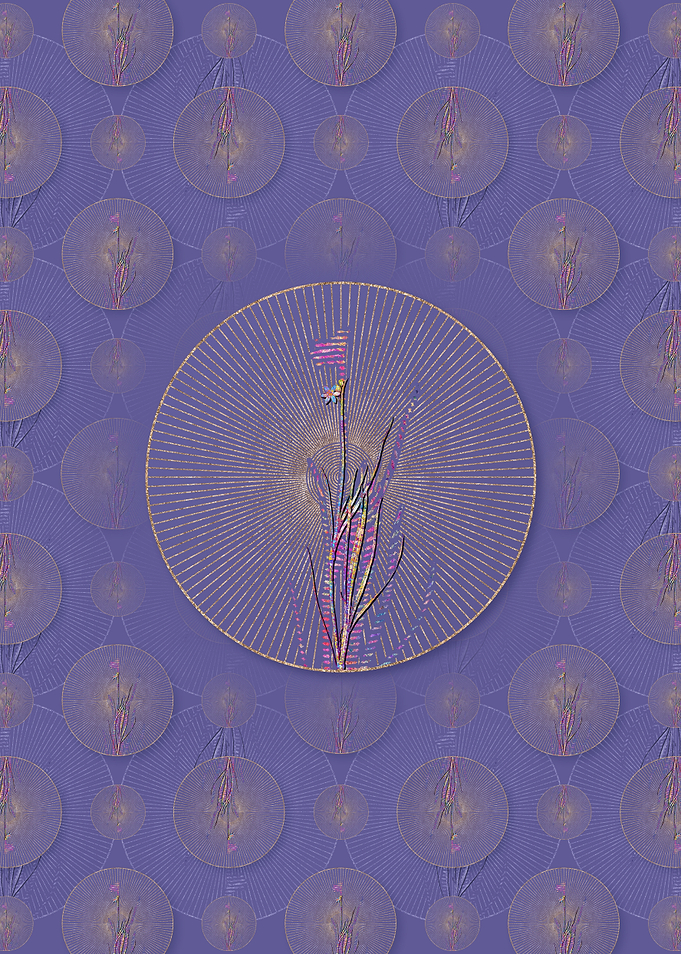 Narrow Blue Eyed Grass