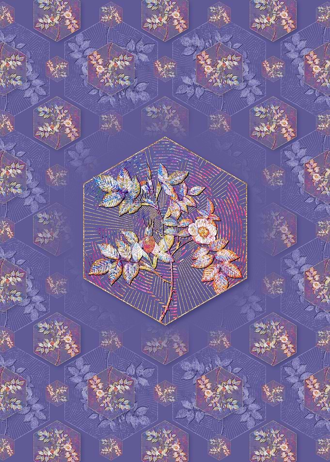 Mountain Rose Bloom Flower