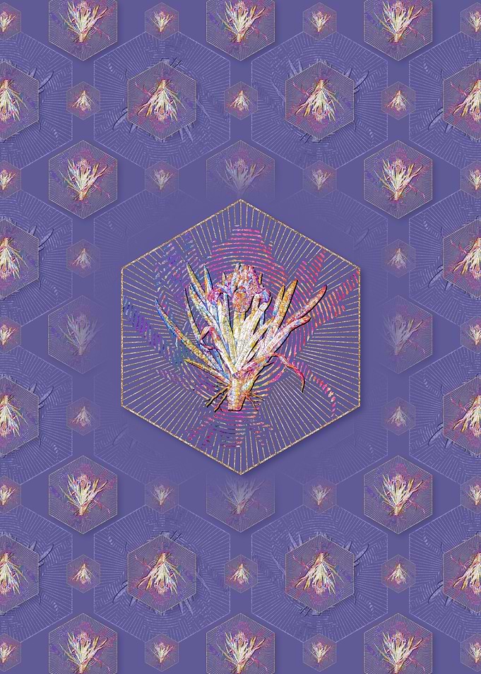 Pygmy Iris Pattern