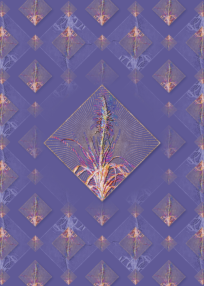 Pina Cortadora Pattern