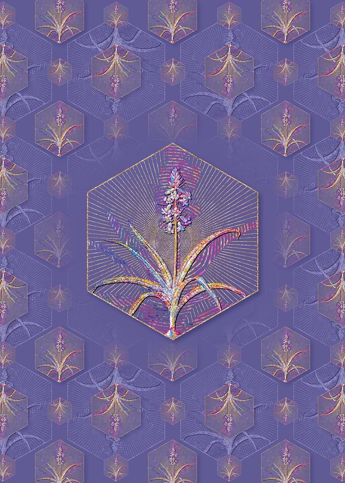Scilla Patula Pattern