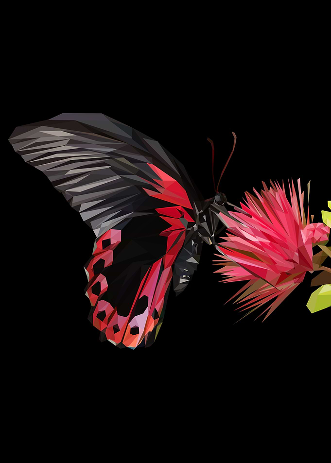 butterfly