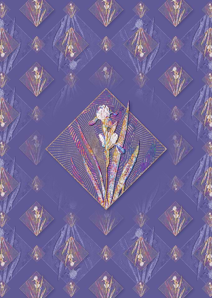 Tall Bearded Iris 2 Flower