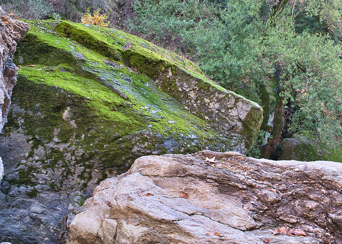 Rocks