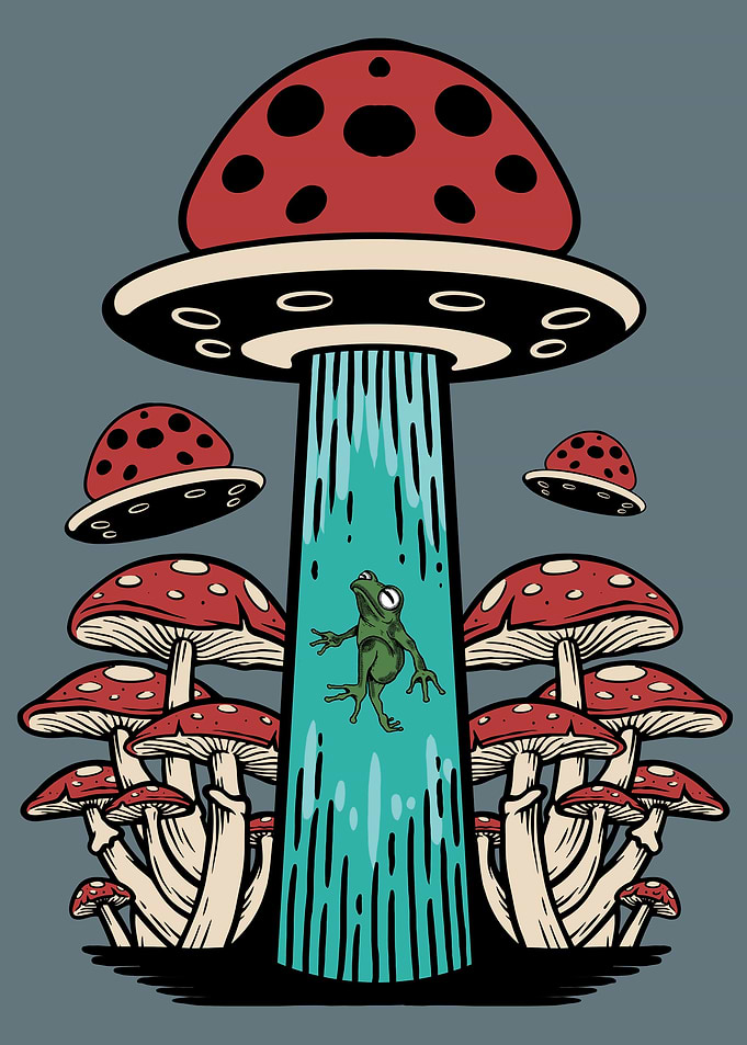 Cottagecore Mushroom Frog