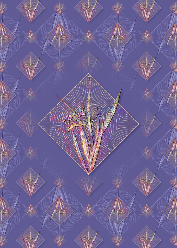 White Baboon Root Pattern