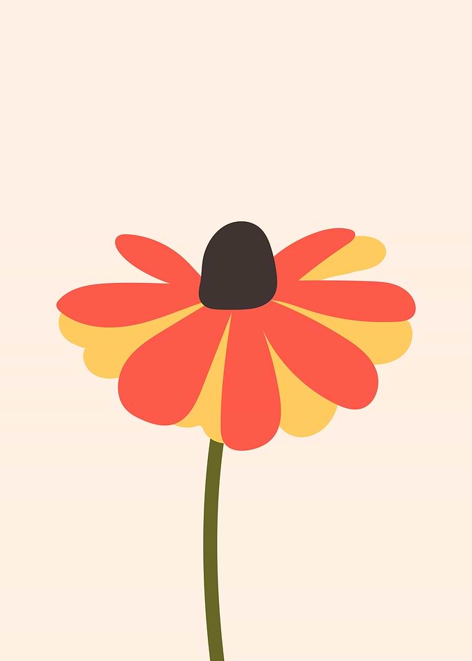 Colorful Tropical flower