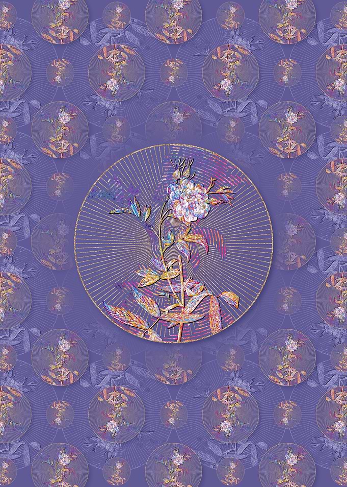 White Rose of York Pattern