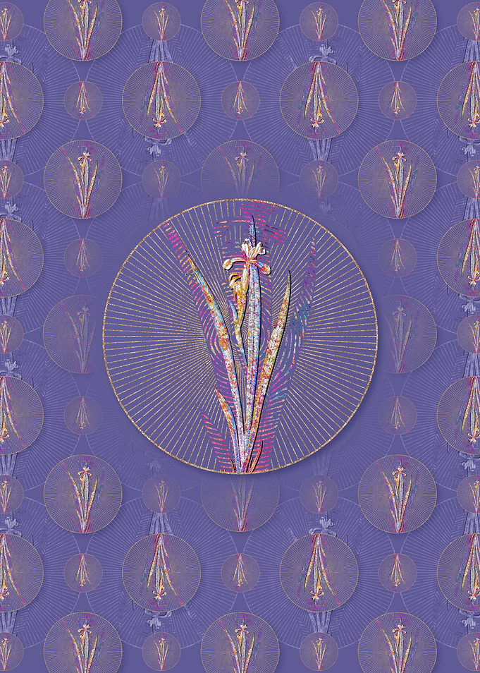 Yellow Banded Iris Pattern