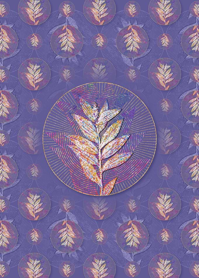 Smilacina Stellata Pattern