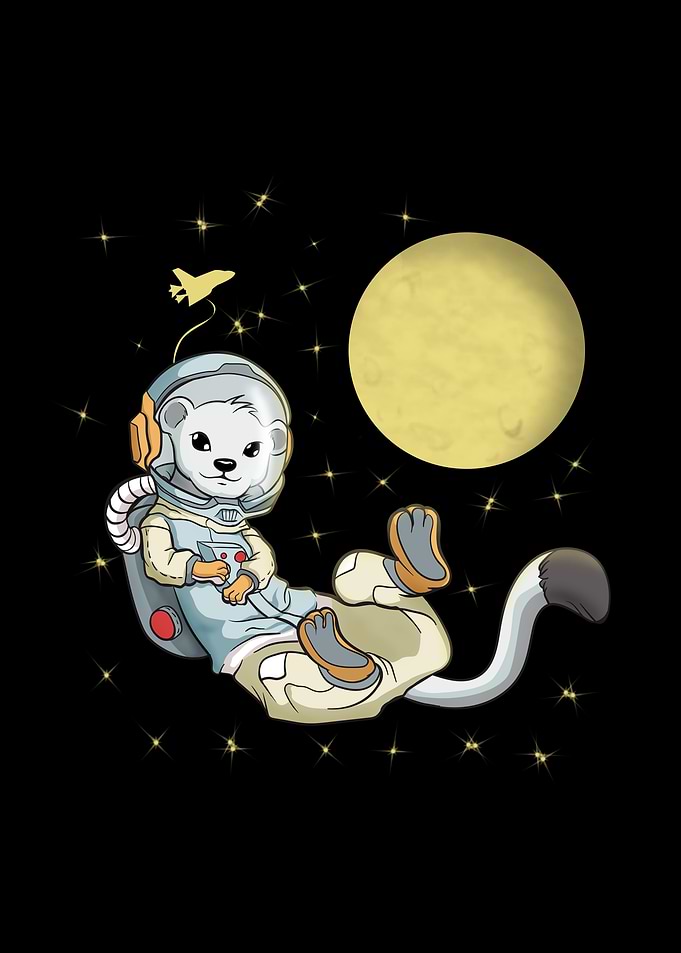 Ermine Space