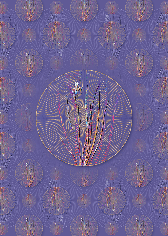 Siberian Iris Pattern