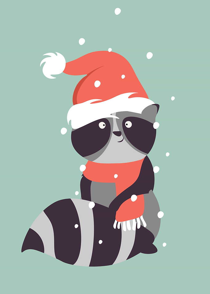 Cozy Little Raccon