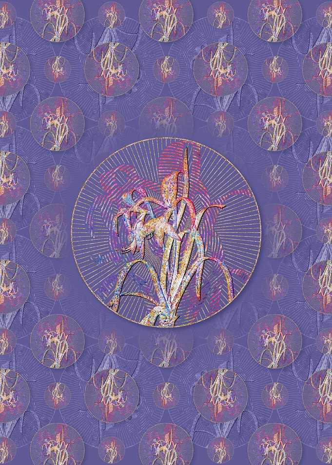 Sprekelia Pattern