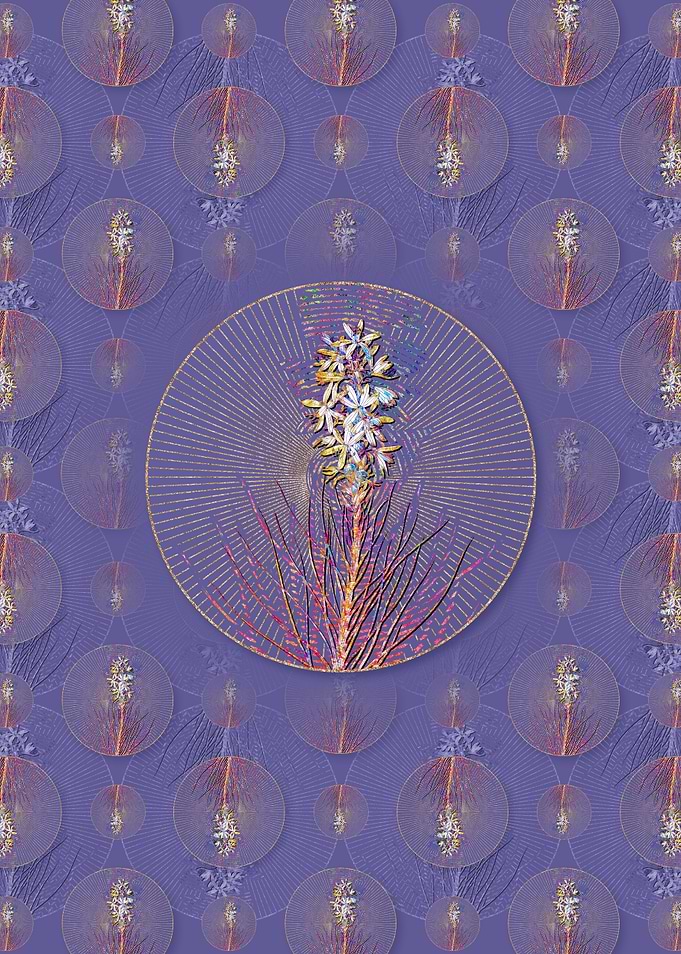 Yellow Asphodel Pattern