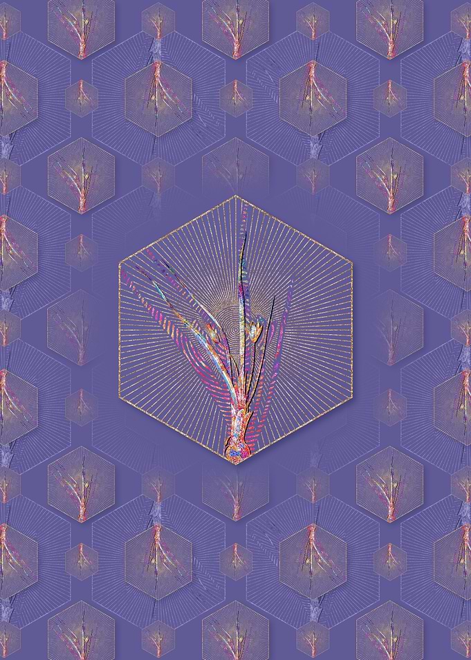 Weevil wort Pattern