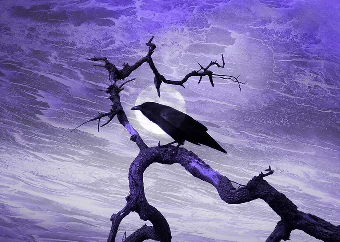 Ravens Perch