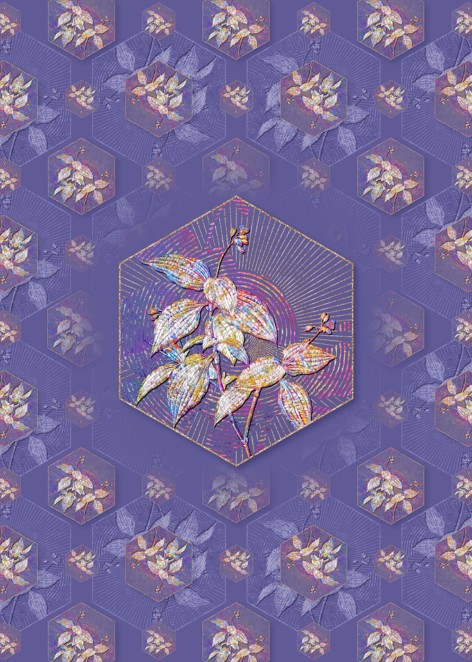 Tradescantia Erecta Flower