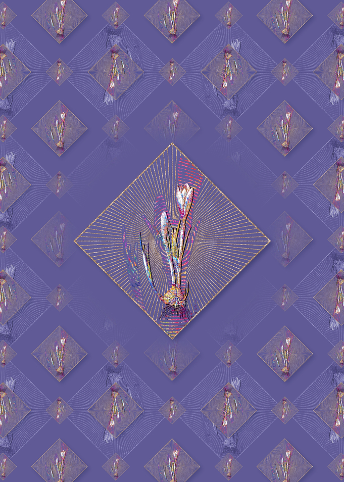 Spring Crocus 1 Pattern