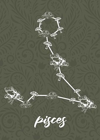 Zodiac Pisces Sign