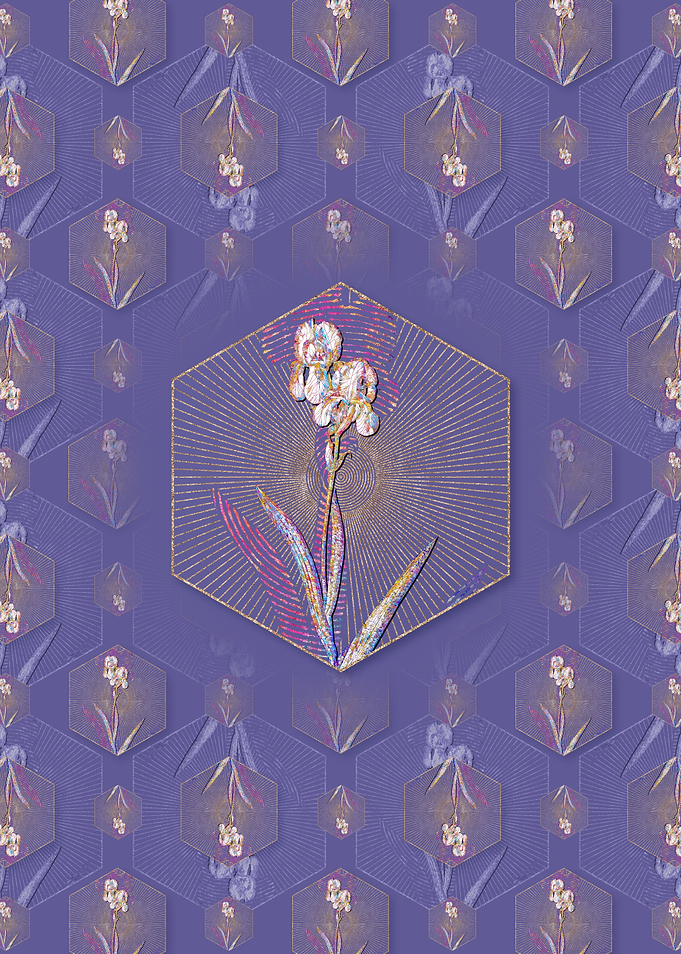Tall Bearded Iris Pattern