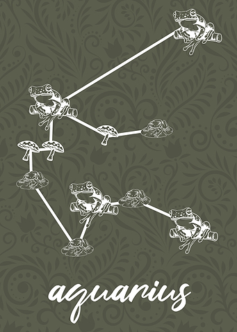 Zodiac Aquarius Sign