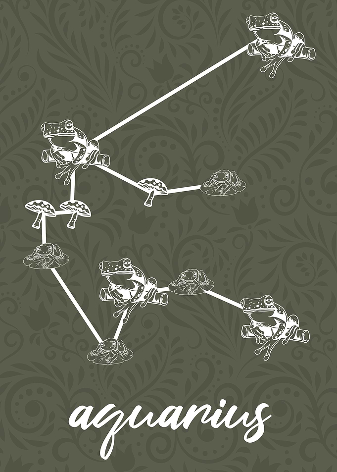 Zodiac Aquarius Sign